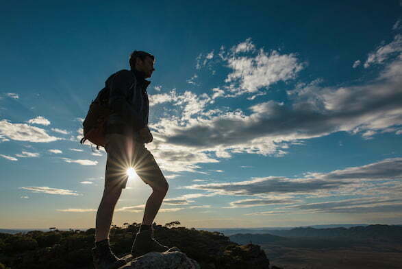 Flinders Ranges walker on escarpment