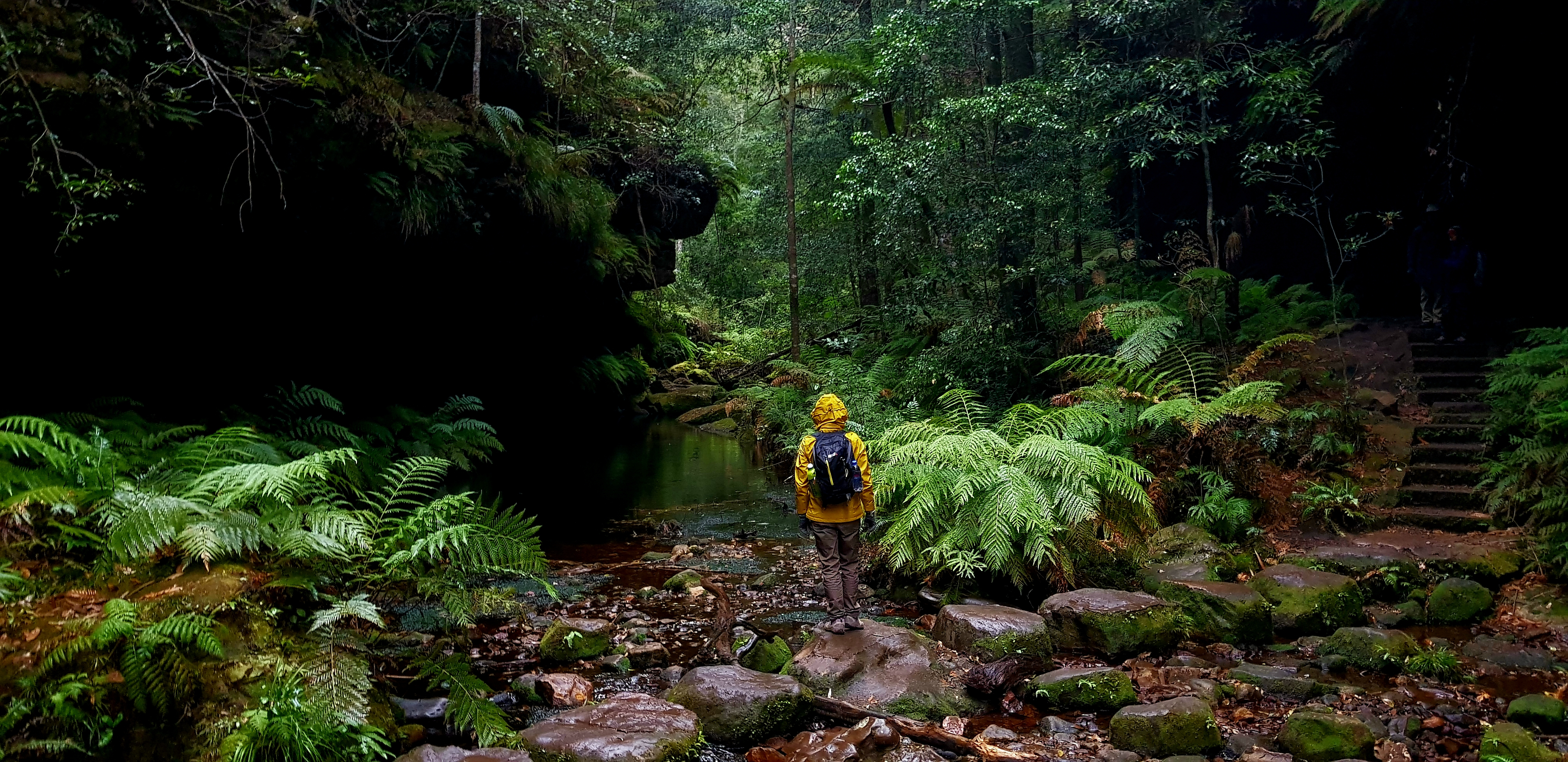 Blue Mountains Traverse - 5 Days