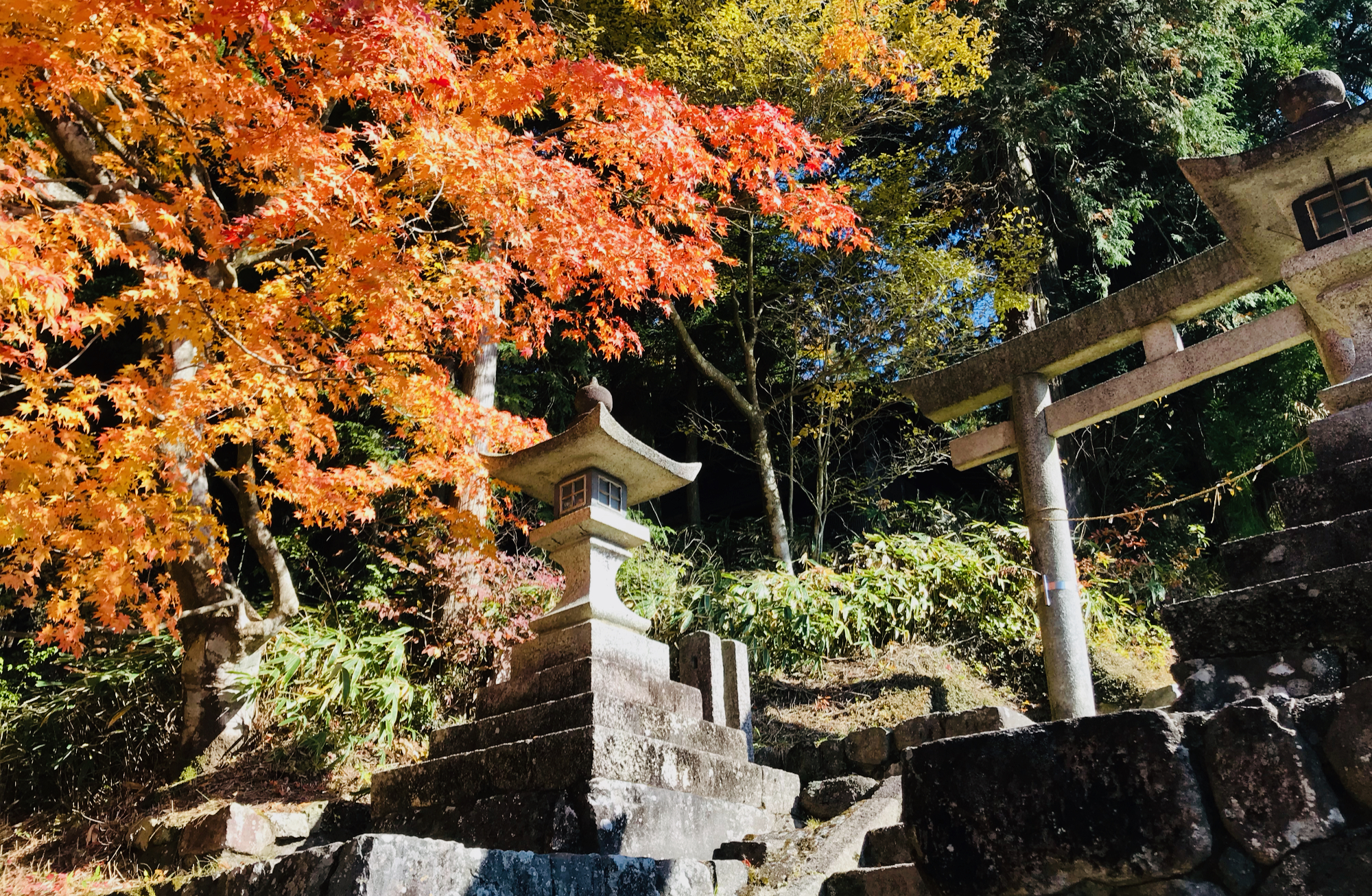 Nakasendo Highlights - 5 Days