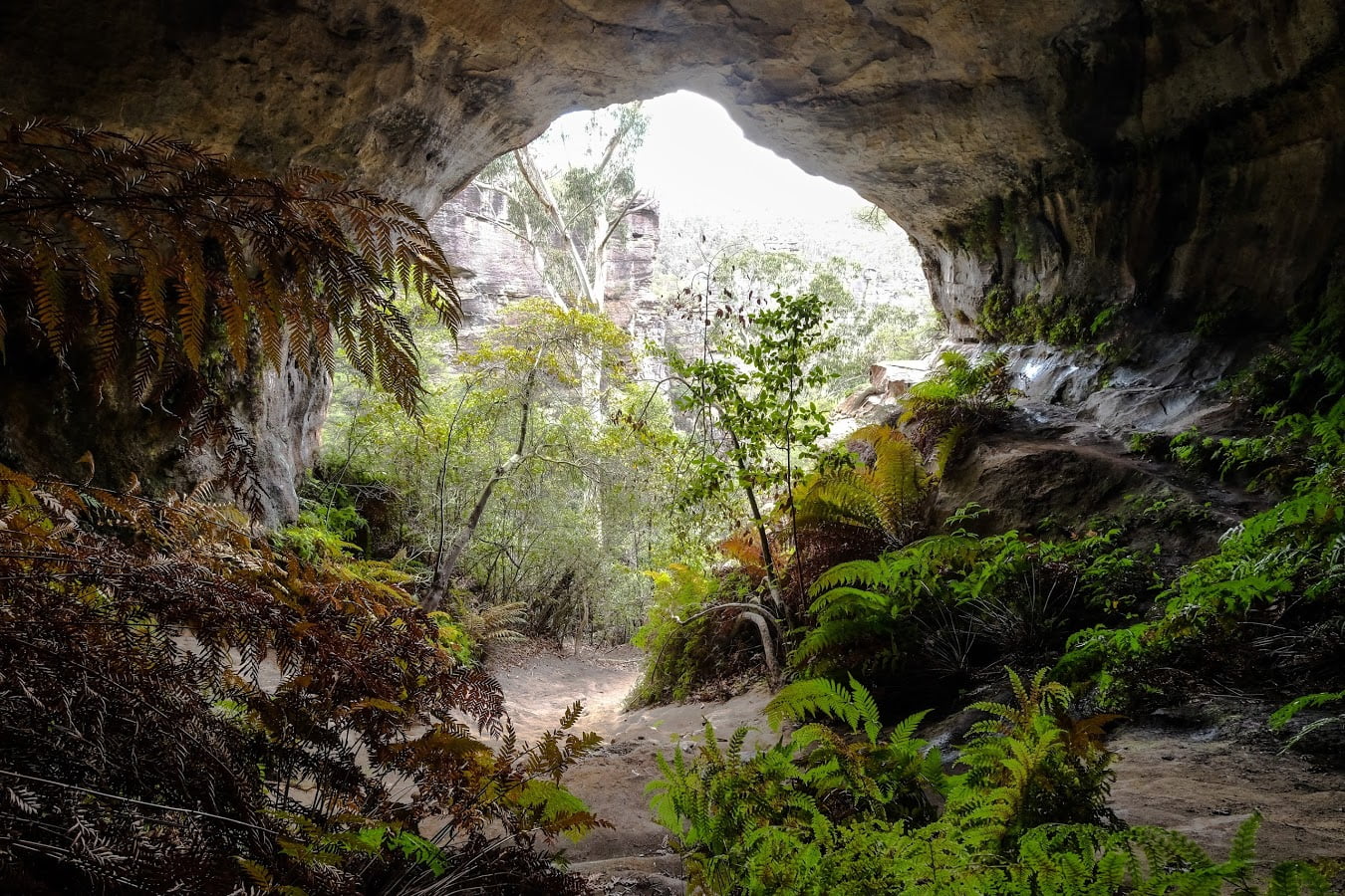 Blue Mountains Traverse Lux - 7 Days