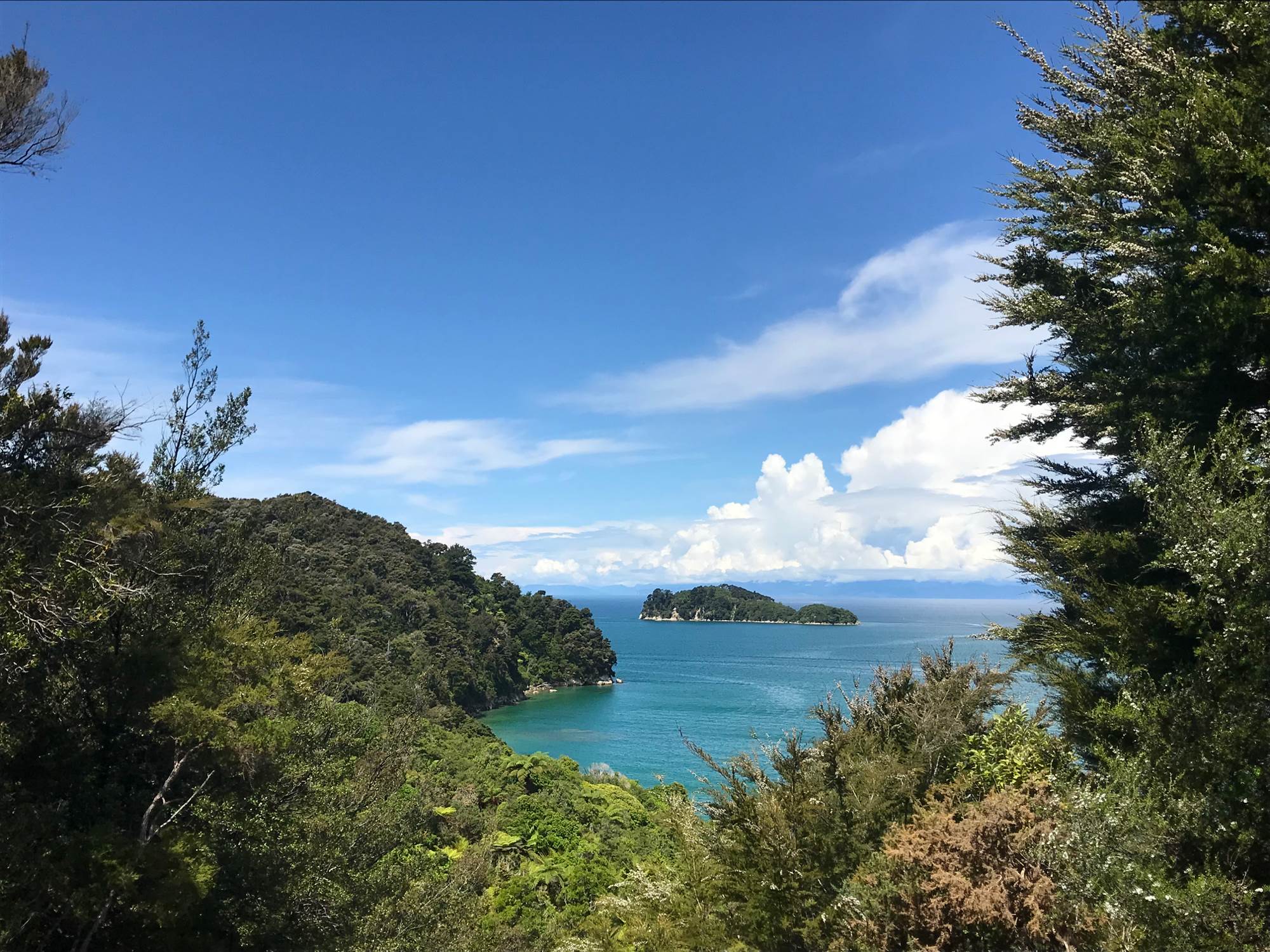 accommodation abel tasman track