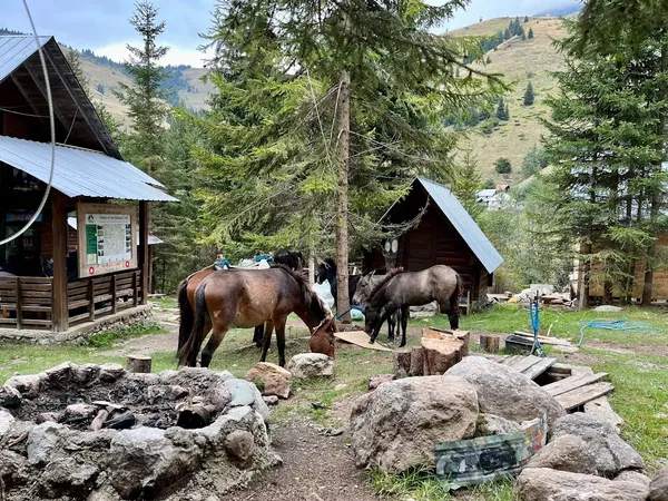 Guesthouse HRD Eco Mountaineering Frontyard