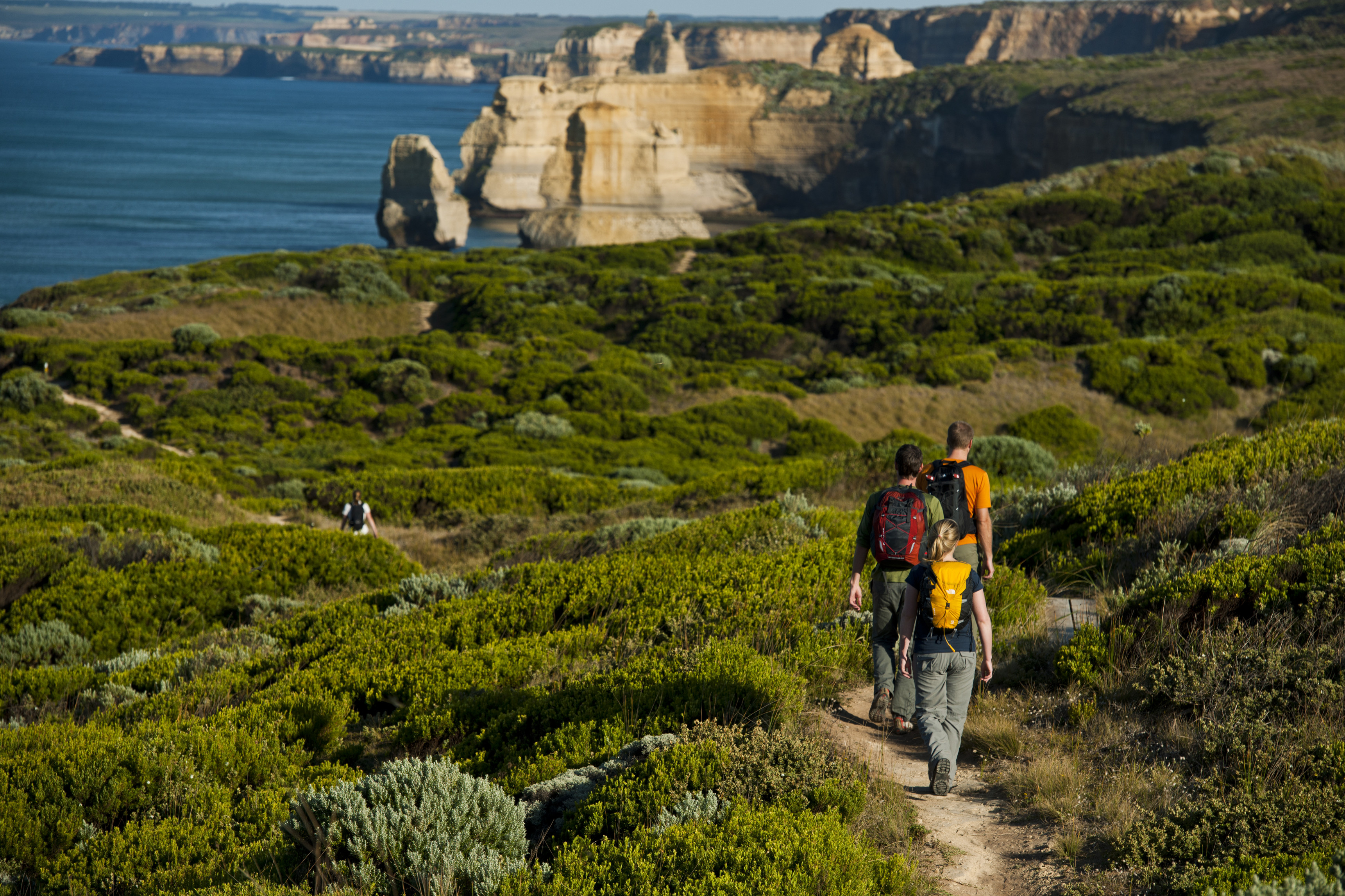 Great Ocean Walk Highlights - 5 Days