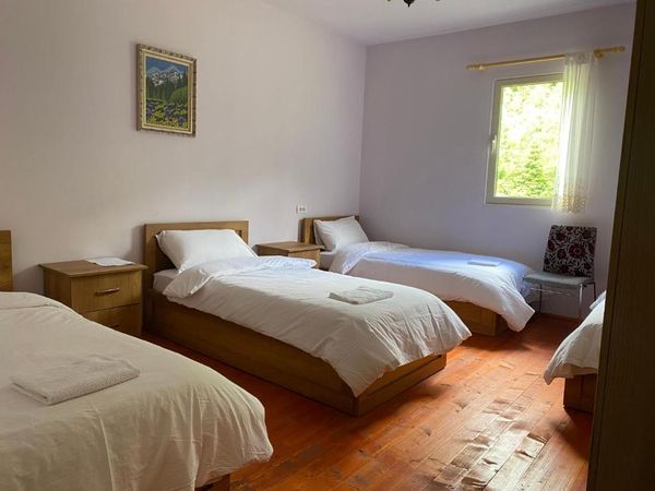 Guesthouse Vita room