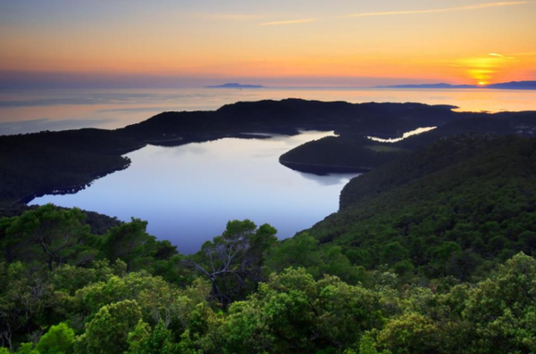 Hotel Odisej 3 Mljet forest view small
