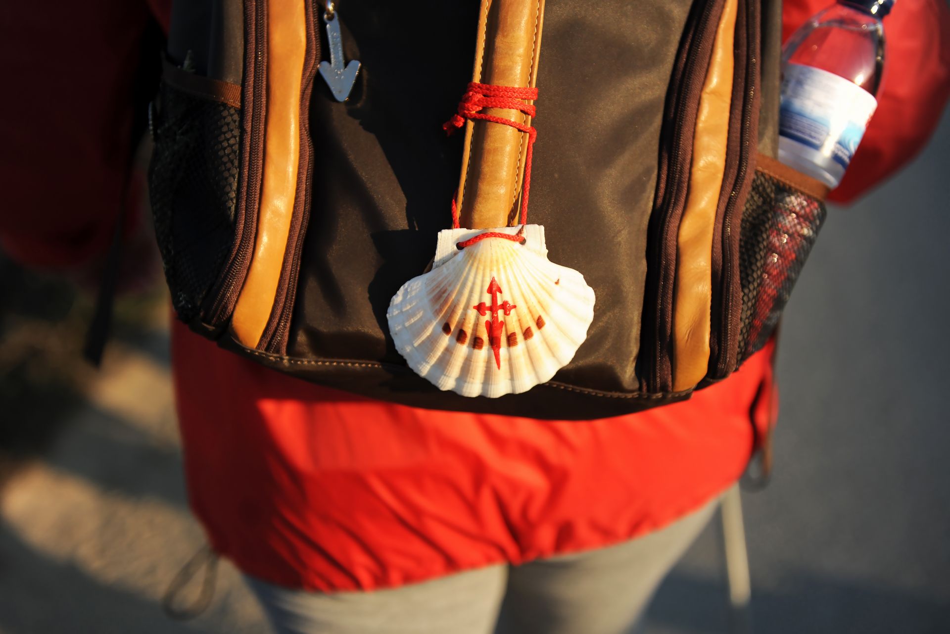 Pilgrim's-Scallop-Shell-on-a-Backpack-Camino