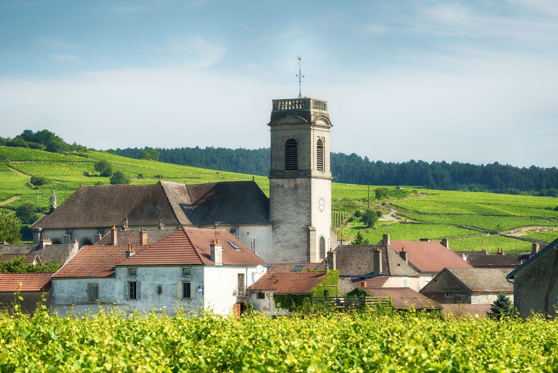 A Taste of Burgundy - 5 Days