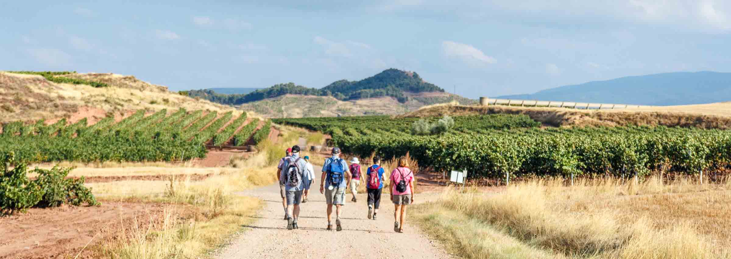 Camino Frances: The Full Route - 40 Days