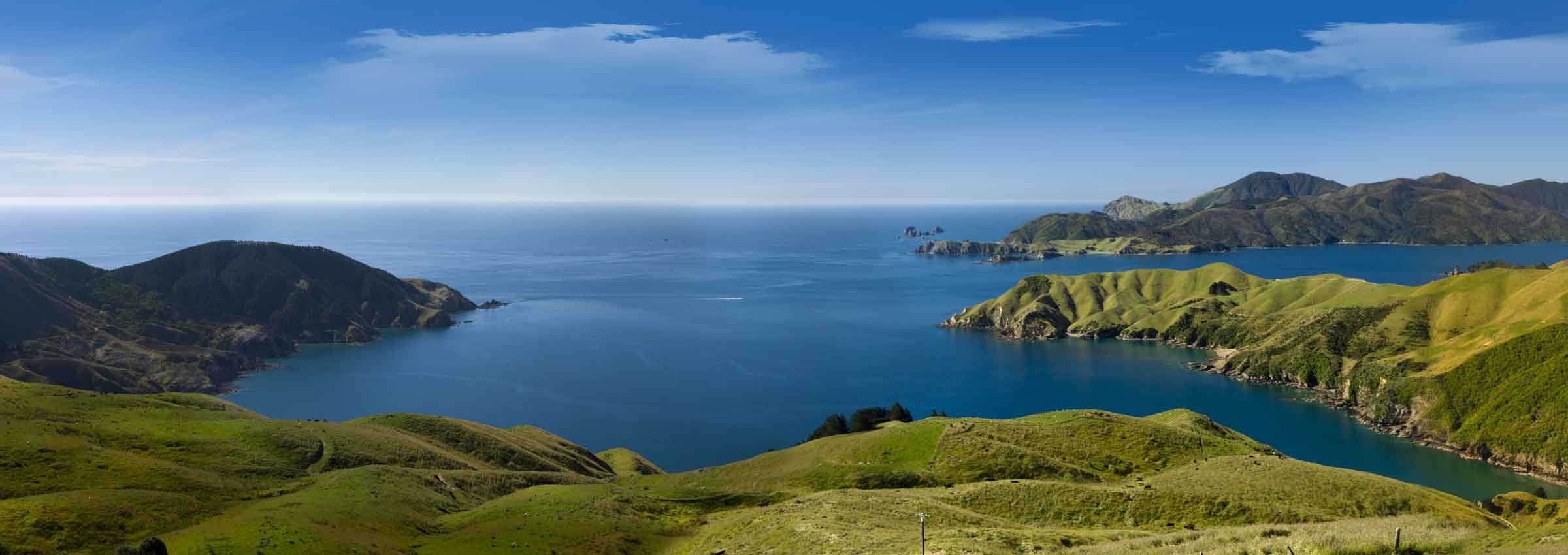 Queen Charlotte Track: The Essentials - 4 Days