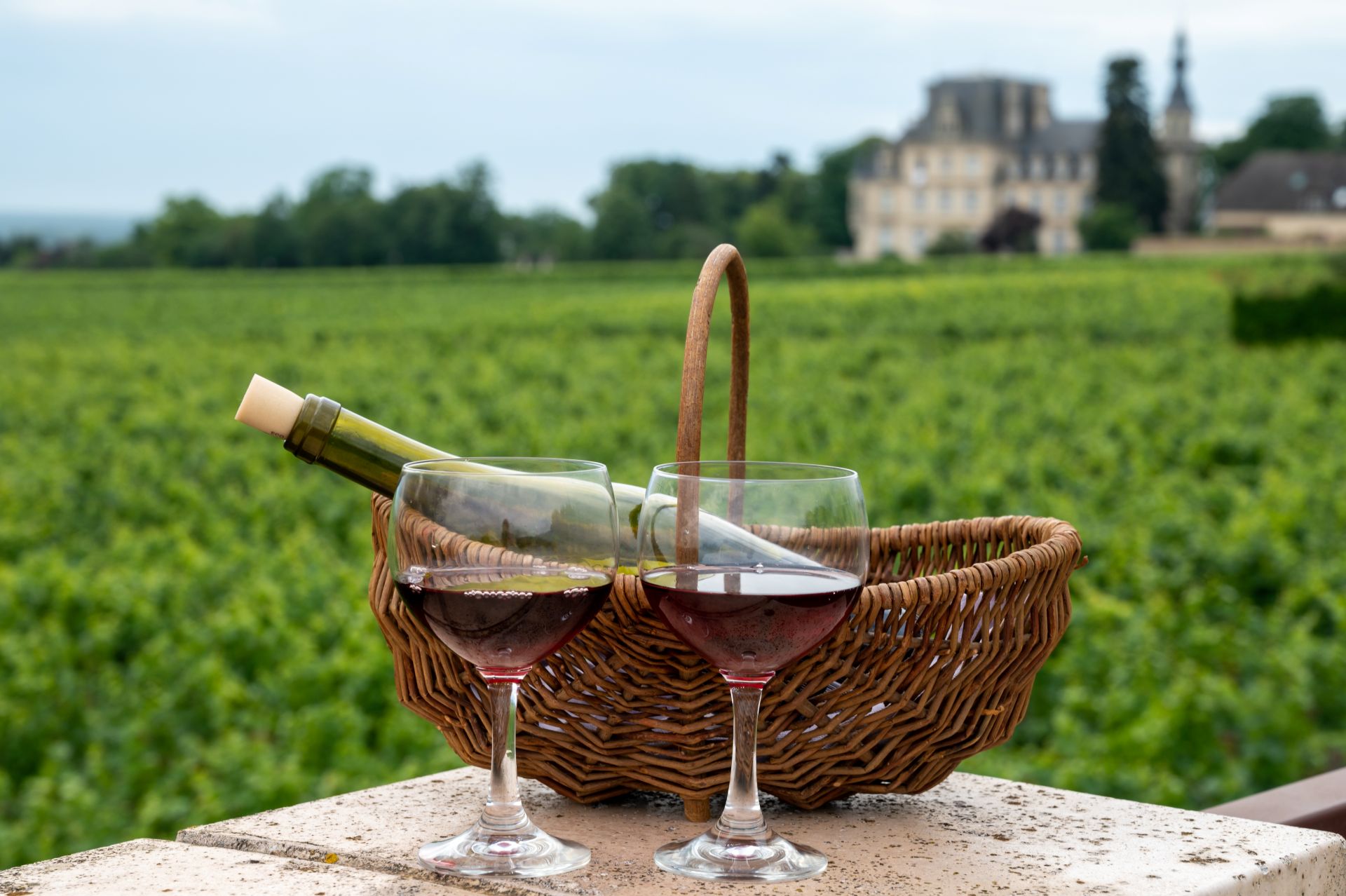 Red dry pinot noir wine in glasses on premier and grand cru vineyards in Burgundy