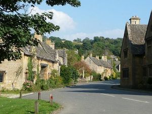 The Vine B&B community