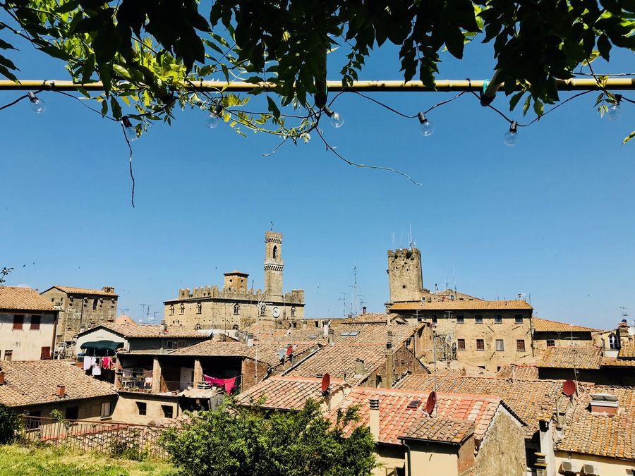 Volterra view
