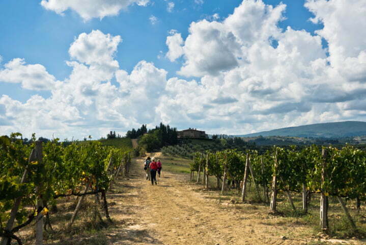 Florence to Siena: Through the Chianti Winelands - 7 Days